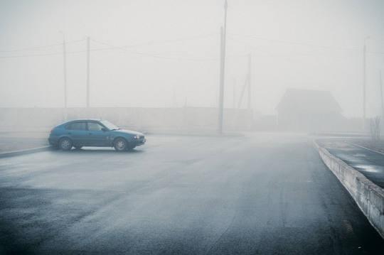 Entre la niebla
